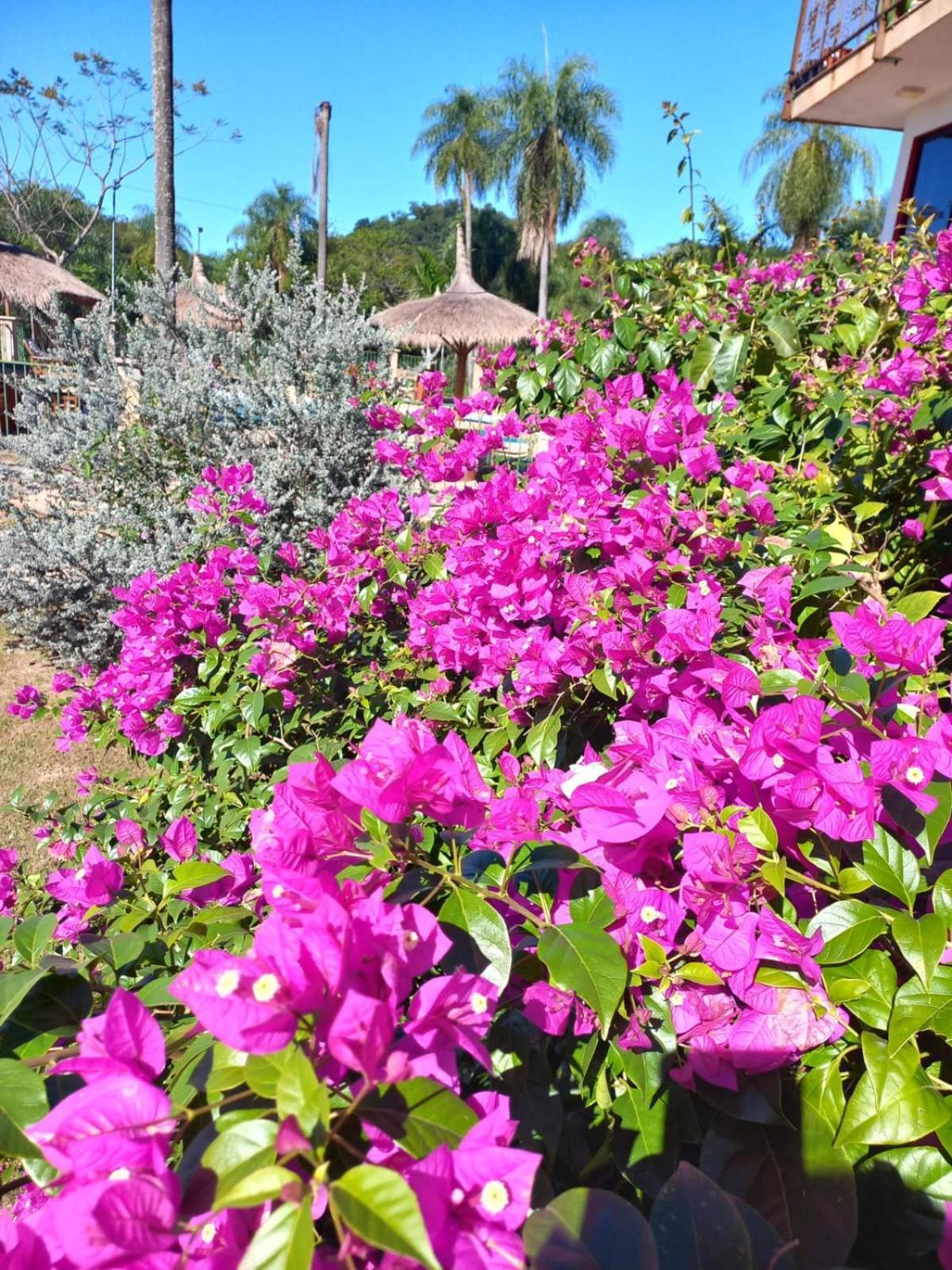 Resort Sport Independencia Esterno foto